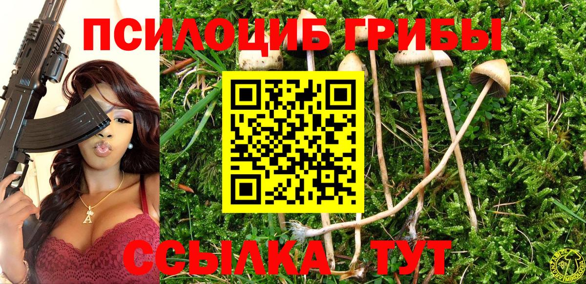 Псилоцибиновые грибы прущие грибы Белогорск