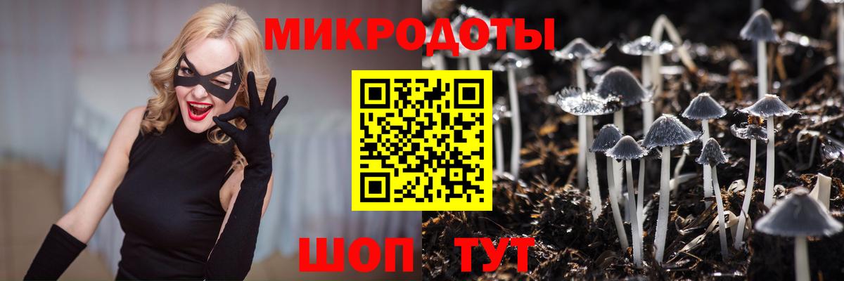 Белогорск  Галлюциногенные грибы Magic Shrooms  Вход с VPN 